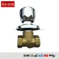 Brass Stop And Waste Valve Bronze/Brass Built-in Stop Valve as-Ws006 Factory